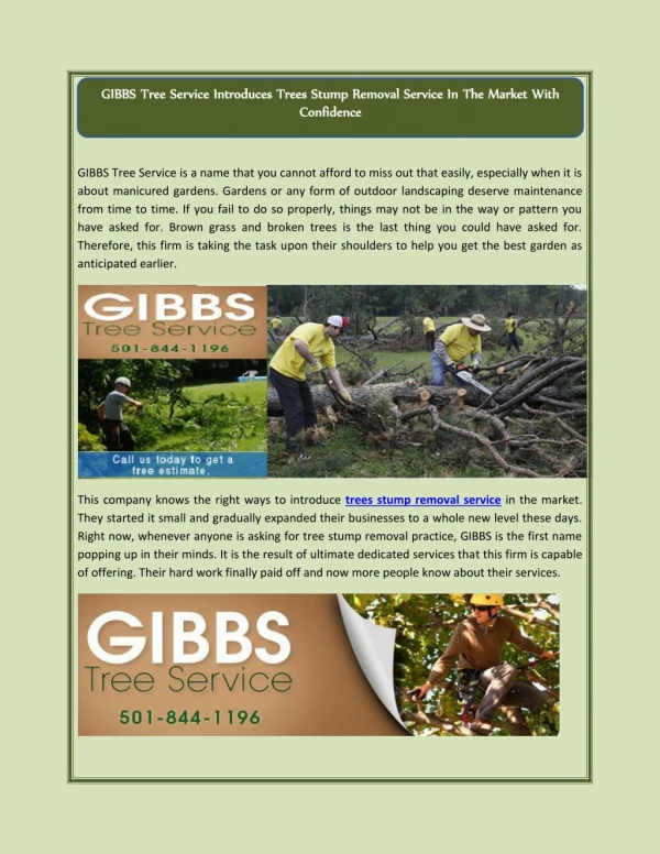 GIBBS Tree Service Introduces Trees Stump Removal Service In The Market With Confidence