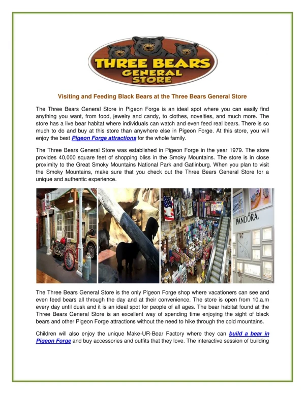 Visiting and Feeding Black Bears at the Three Bears General Store