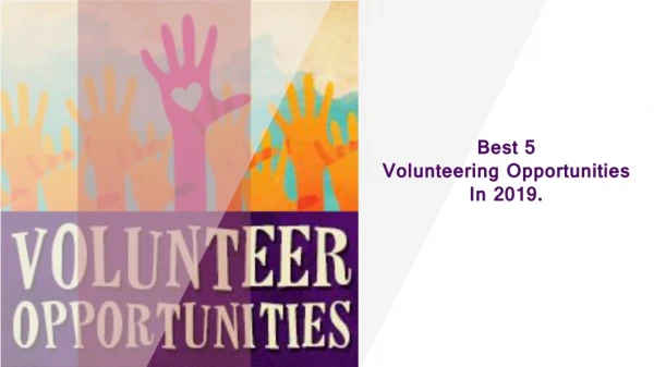 Best 5 Volunteering OpportunitiesIn 2019.