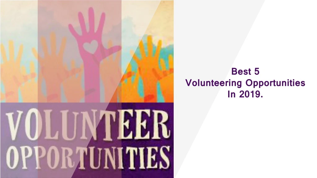 best 5 volunteering opportunities in 2019