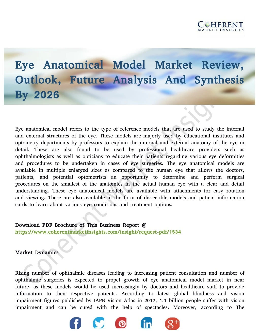 eye anatomical model eye anatomical model market
