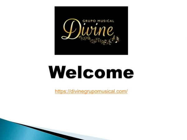 Best Latin Bands for Hire in Los Angeles - Divine Grupo Musical