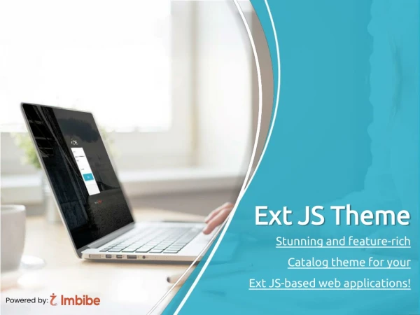 Ext Js Theme