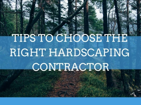 Basic Tips that help to Choose Right Landscaping & hardscaping Contractor - DPI New York