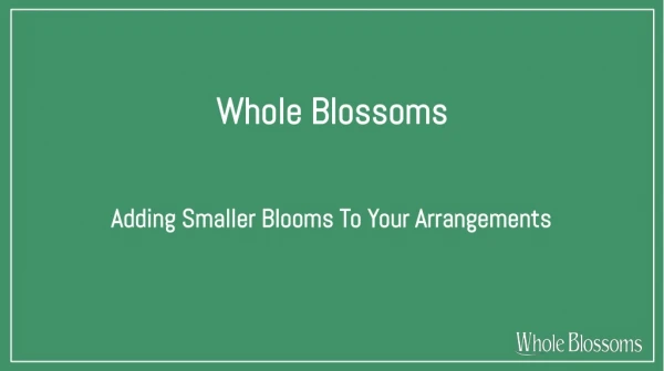 Add Small Blooms of Wax Flower Colors to Your Arrangements