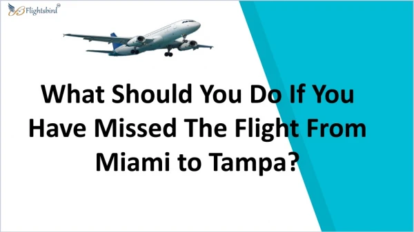 What Should You Do If You Have Missed The Flight From Miami to Tampa?