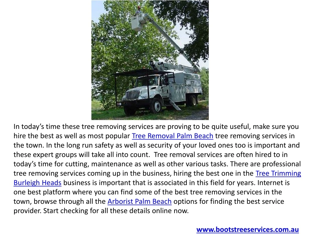 in today s time these tree removing services