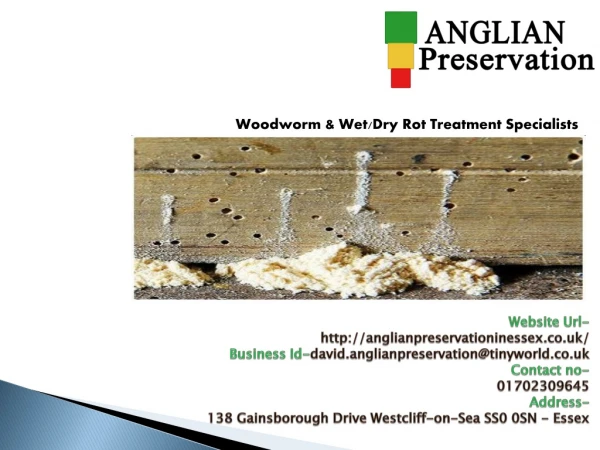 Get Treatment for Woodworm in Uk -Anglian Preservation