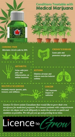Medical Marijuana Growing License Canada - slide 1