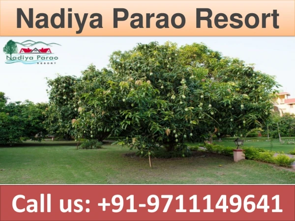 nadiya parao resort