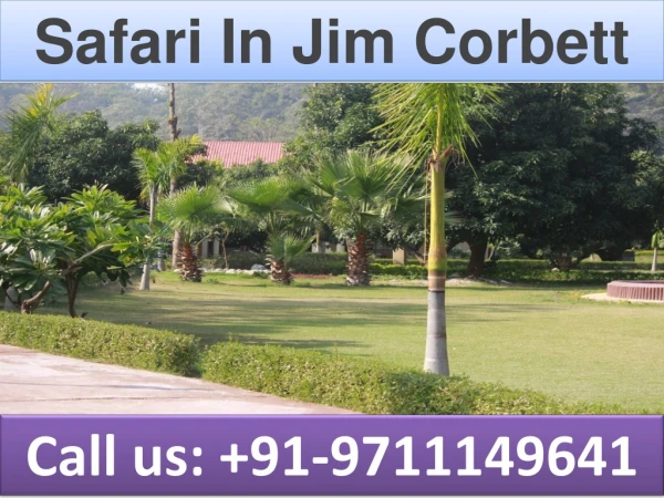 safari in jim corbett