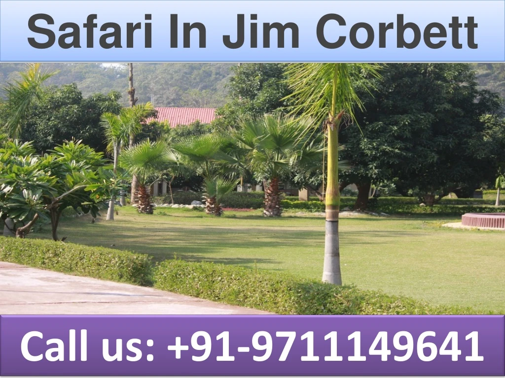 safari in jim corbett