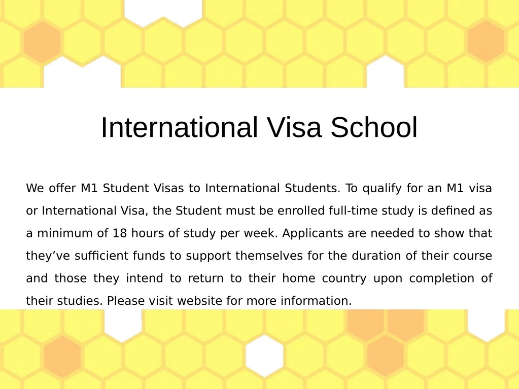 international visa school