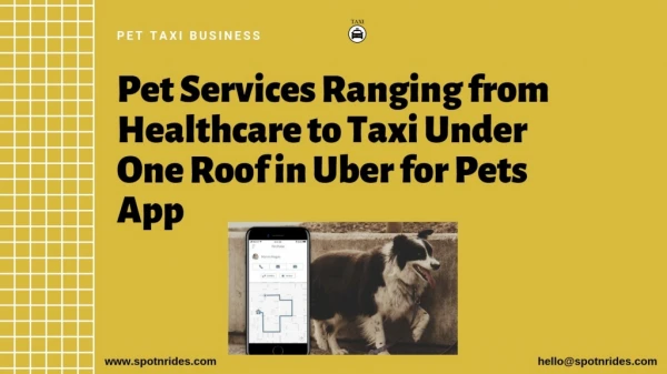 Start A Pet Taxi Service Business With Spotnrides Within A Week.