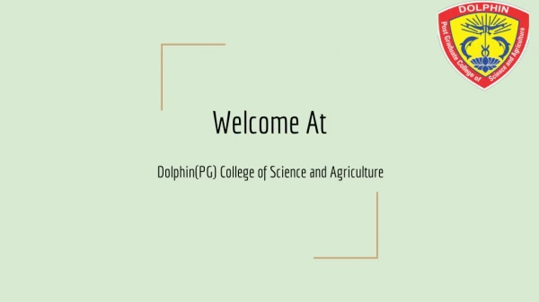Bsc in Agriculture