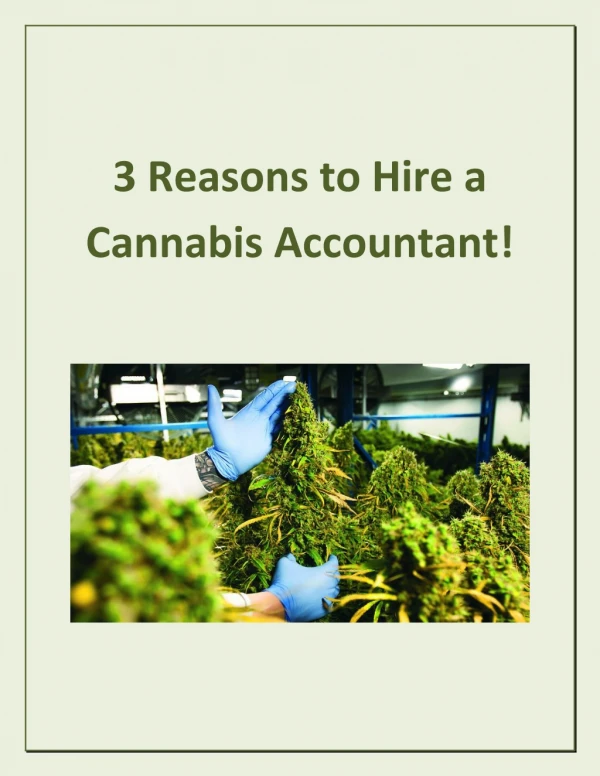 3 Reasons to Hire a Cannabis Accountant!