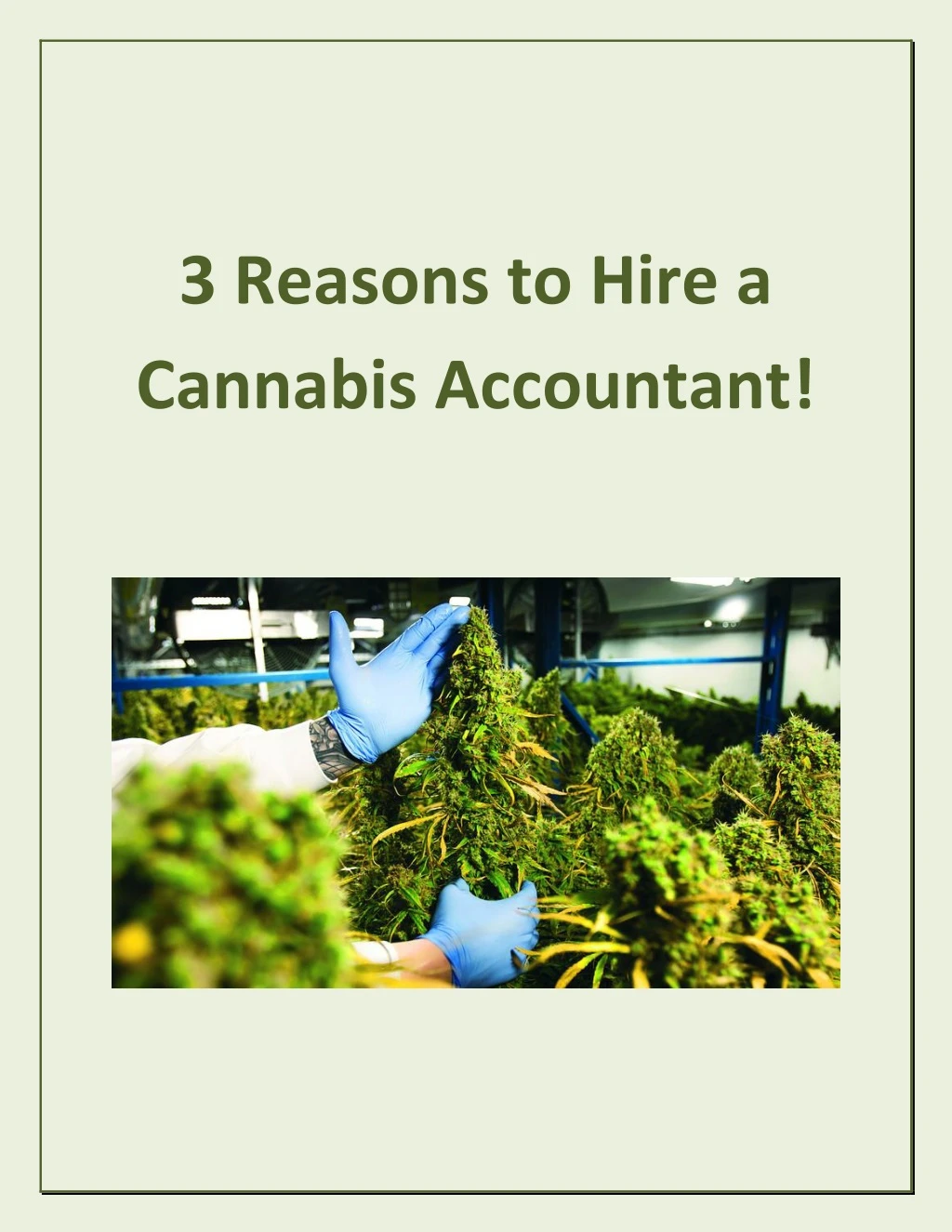 3 reasons to hire a cannabis accountant