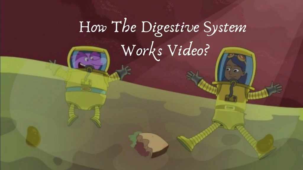 how the digestive system works video
