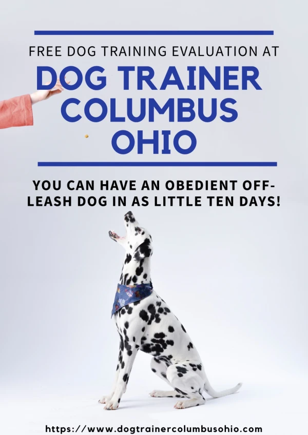 DOG TRAINER COLUMBUS OHIO