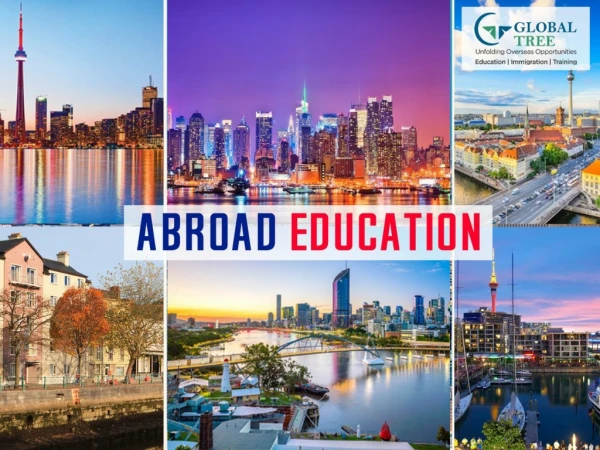 Study Abroad Consultants | Overseas Education - Global Tree
