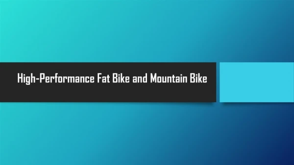 High-Performance Fat Bike and Mountain Bike