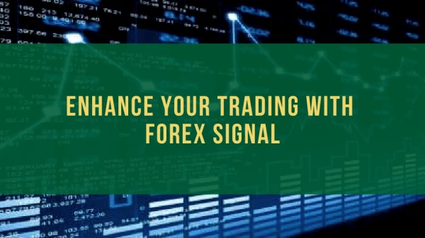 Enhance Your Trading With Forex Signal