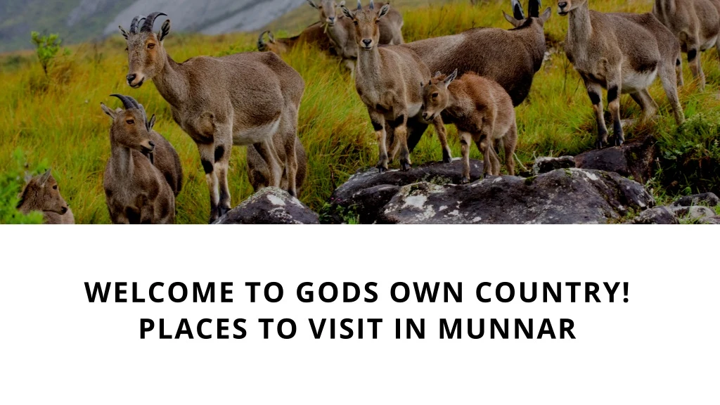 welcome to gods own country places to visit