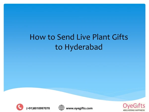 How to Send Live Plant Gifts to Hyderabad