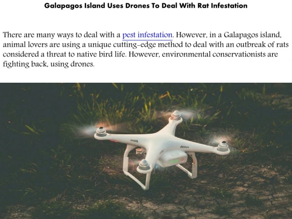 Galapagos Island Uses Drones To Deal With Rat Infestation