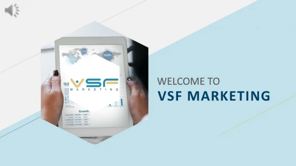 Expert SEO Services Tampa - VSF Marketing
