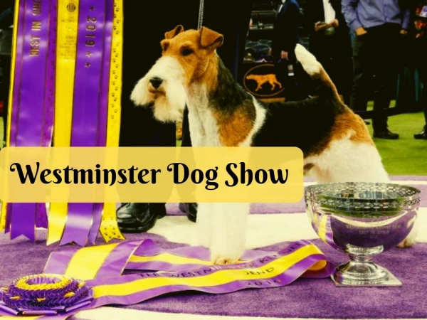 143rd Westminster Kennel Club Dog Show