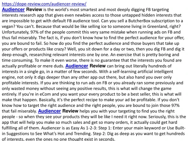 AUDIENCER REVIEW