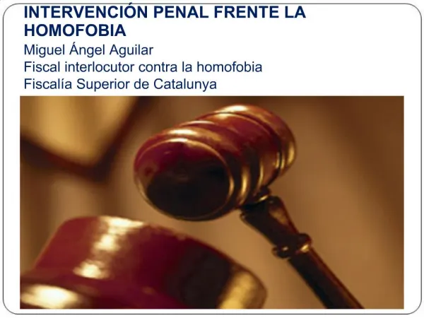 INTERVENCI N PENAL FRENTE LA HOMOFOBIA Miguel ngel Aguilar Fiscal interlocutor contra la homofobia Fiscal a Superior de