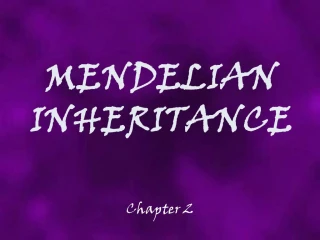MENDELIAN INHERITANCE - slide 1