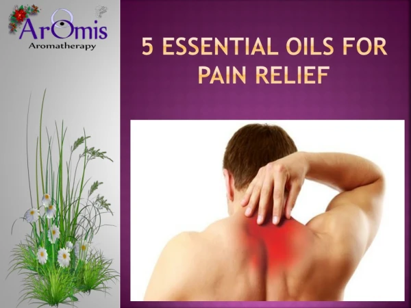 5 Essential Oils For Pain Relief