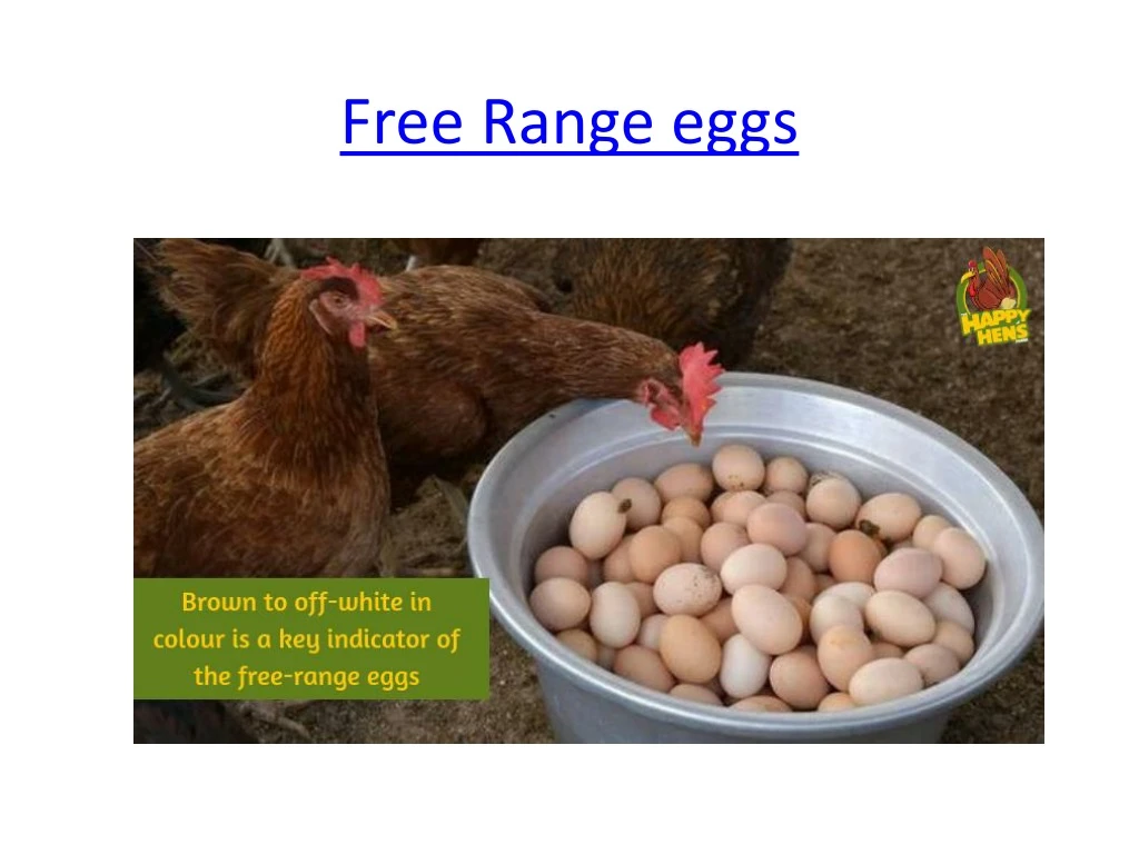 free range eggs