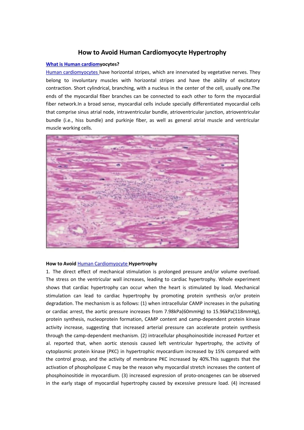 how to avoid human cardiomyocyte hypertrophy