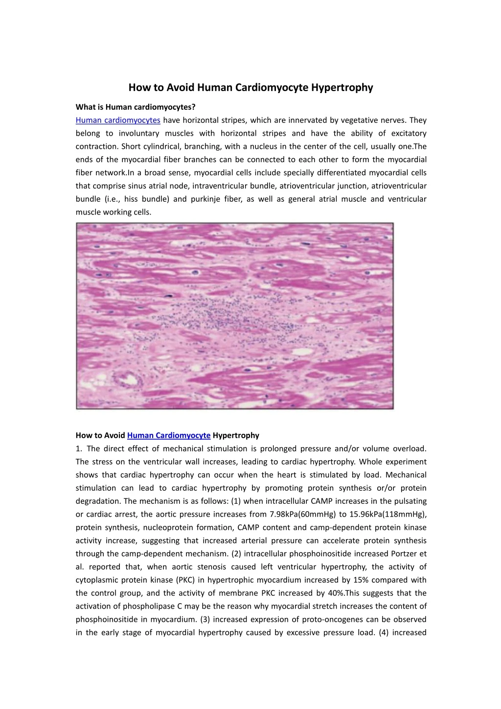 how to avoid human cardiomyocyte hypertrophy