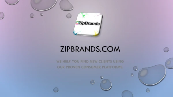 Best Real Estate Lead Providers - ZipBrands