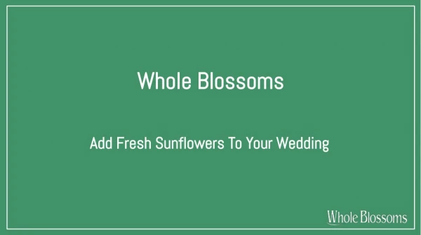 Get Bulk Sunflower Wholesale for Your Special Day Celebrations