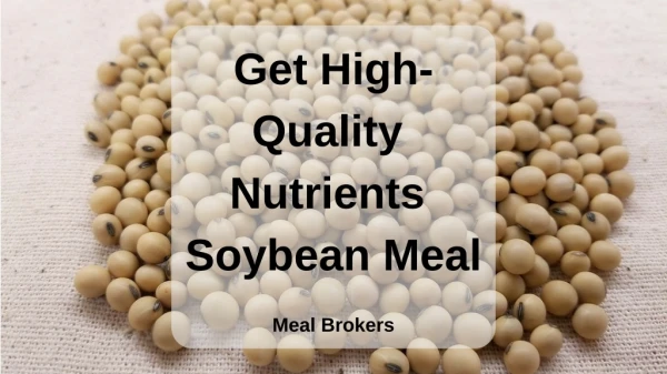 Buy Soybean Meal for Nutrition Supply