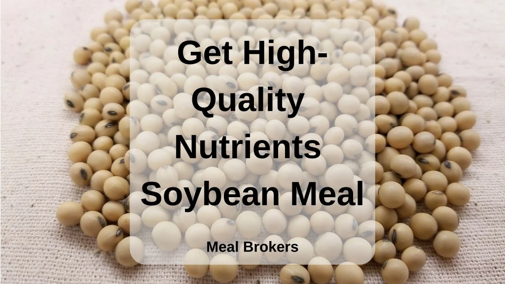 get high quality nutrients soybean meal