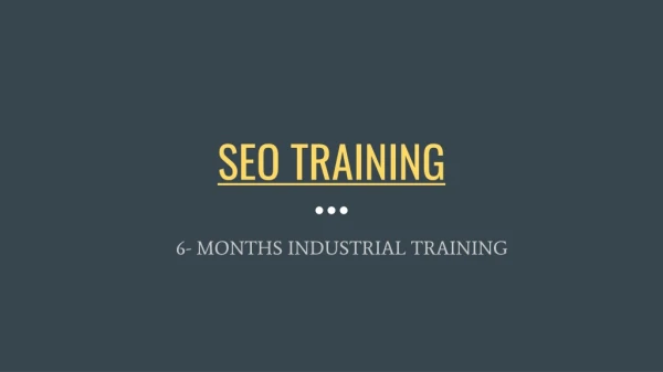 SEO 6 Months Industrial Training