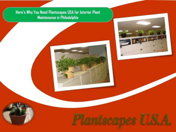 Here’s Why You Need Plantscapes USA for Interior Plant Maintenance in Philadelphia