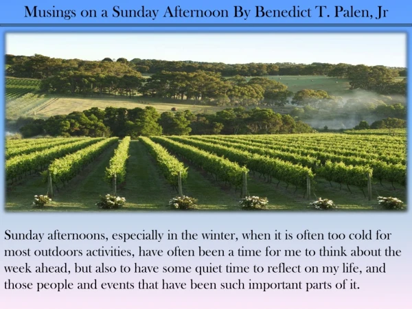 Musings on a Sunday Afternoon By Benedict T. Palen, Jr