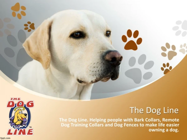 Find affordable Best Electric Dog Fence | The Dog Line.
