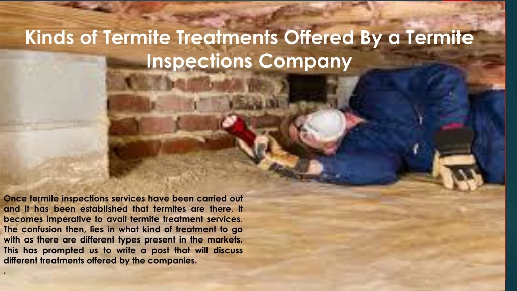 kinds of termite treatments offered by a termite inspections company