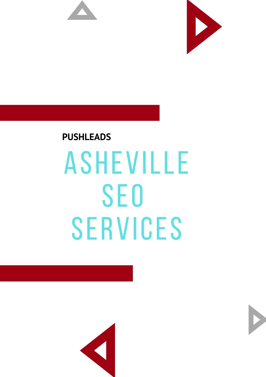 pushleads a sheville seo services