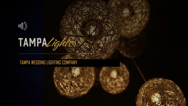 Tampa Wedding Lighting Company - Tampa Lights