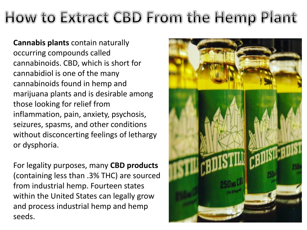 how to extract cbd from the hemp plant